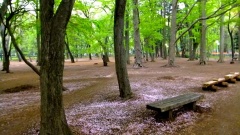 �摜(240x135)�E�g��摜(480x270)