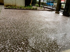 �摜(240x180)�E�g��摜(480x360)