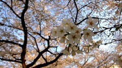 �摜(240x135)�E�g��摜(480x270)