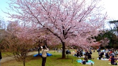 �摜(240x135)�E�g��摜(480x270)