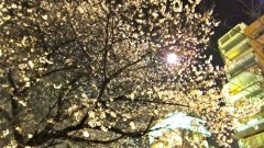 �摜(240x135)�E�g��摜(480x270)