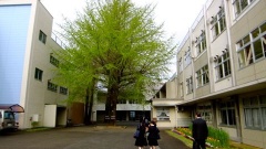 �摜(240x135)�E�g��摜(480x270)