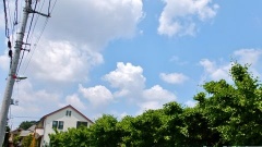 �摜(240x135)�E�g��摜(480x270)