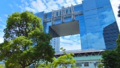 �摜(240x135)�E�g��摜(480x270)