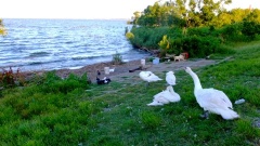 �摜(240x135)�E�g��摜(480x270)