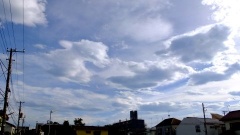 �摜(240x135)�E�g��摜(480x270)