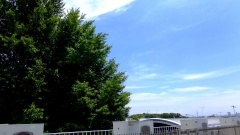 �摜(240x135)�E�g��摜(480x270)