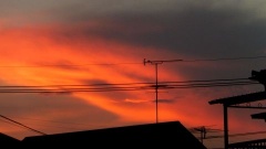 �摜(240x135)�E�g��摜(480x270)