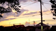 �摜(240x135)�E�g��摜(480x270)