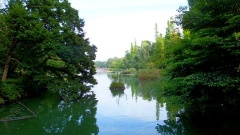 �摜(240x135)�E�g��摜(480x270)