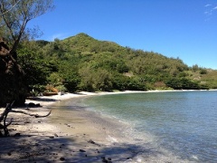 �摜(240x180)�E�g��摜(400x300)