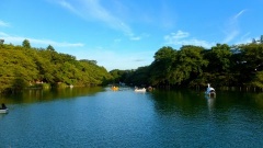 �摜(240x135)�E�g��摜(480x270)