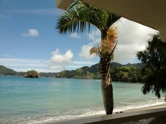 �摜(240x180)�E�g��摜(400x300)