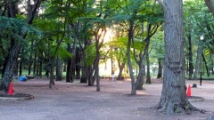 �摜(240x135)�E�g��摜(480x270)