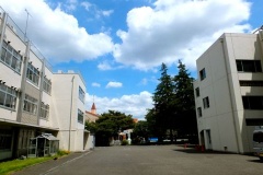 �摜(240x160)�E�g��摜(480x320)