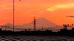 �摜(240x135)�E�g��摜(480x270)