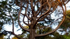 �摜(240x135)�E�g��摜(640x360)