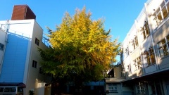 �摜(240x135)�E�g��摜(480x270)