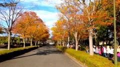 �摜(240x135)�E�g��摜(480x270)