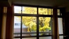 �摜(240x135)�E�g��摜(640x360)