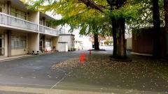 �摜(240x135)�E�g��摜(480x270)