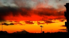 �摜(240x135)�E�g��摜(480x270)