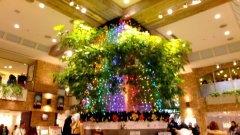 �摜(240x135)�E�g��摜(480x270)