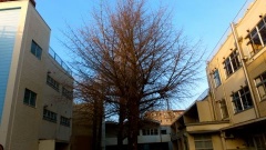 �摜(240x135)�E�g��摜(480x270)