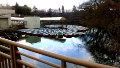 �摜(240x135)�E�g��摜(480x270)