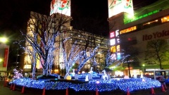 �摜(240x135)�E�g��摜(480x270)