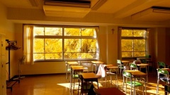 �摜(240x135)�E�g��摜(480x270)