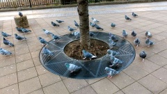 �摜(240x135)�E�g��摜(480x270)