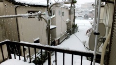 �摜(240x135)�E�g��摜(480x270)