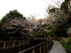 �摜(240x180)�E�g��摜(480x360)