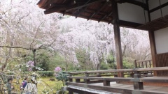 �摜(240x135)�E�g��摜(640x360)