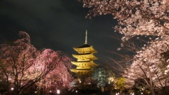 �摜(240x135)�E�g��摜(640x360)