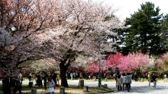 �摜(240x135)�E�g��摜(480x270)