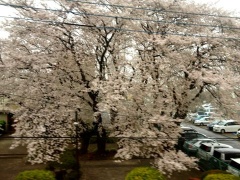 �摜(240x180)�E�g��摜(480x360)