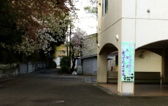 �摜(240x152)�E�g��摜(480x304)