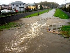 �摜(240x180)�E�g��摜(480x360)