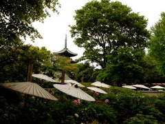 �摜(240x180)�E�g��摜(480x360)