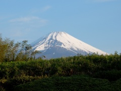 �摜(240x180)�E�g��摜(640x480)