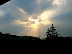 �摜(240x180)�E�g��摜(480x360)