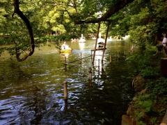 �摜(240x180)�E�g��摜(480x360)