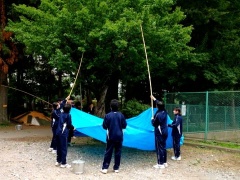 �摜(240x180)�E�g��摜(480x360)