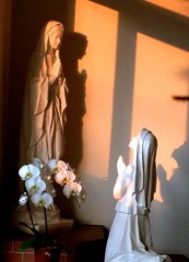 �摜(173x240)�E�g��摜(346x480)