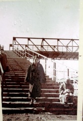 �摜(165x240)�E�g��摜(330x480)