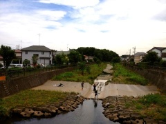 �摜(240x180)�E�g��摜(480x360)