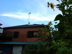 �摜(240x180)�E�g��摜(480x360)