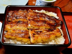 �摜(240x180)�E�g��摜(480x360)